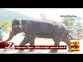 9வது யானைகள் புத்துணர்வு முகாம் உற்சாகத்தில் கோவில் யானைகள் elephant rejuvenation camp 2021