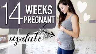 HITTING THE SECOND TRIMESTER! || 14 WEEK PREGNANCY UPDATE || BETHANY FONTAINE