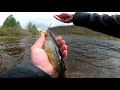 spinning for trout in the loch