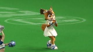 20200919 スターター送り出しで笛を吹くポリーちゃん！