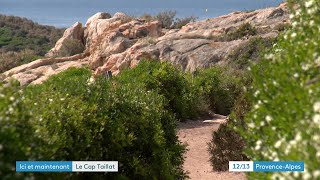 Le cap Taillat, dans le Var, un des sites emblématiques du Conservatoire du Littoral