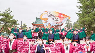 [4K] 福井大学よっしゃこい　京都さくらよさこい 2021 1日目 神宮道 さくよさ (中央)