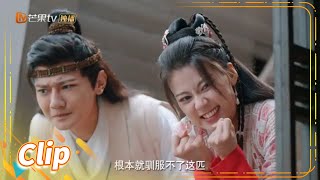 情敌相见分外眼红《一夜新娘2 The Romance of Hua Rong 2》【芒果TV青春剧场】