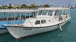 รีวิว เรือ ฮานิฟารู มัลดีฟส์ Dharavandhoo Hanifaru Maldives ROSA MARINE