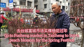 去台城富城市场买棵桃花过年Go to Fucheng market in Taicheng to buy a peach blossom for the Spring Festival探索台山396