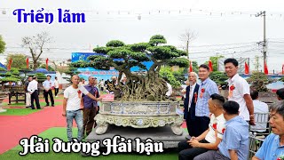 Lần đầu làm lớn Triển lãm rất quy mô của xã Hải đường Hải hậu NĐ