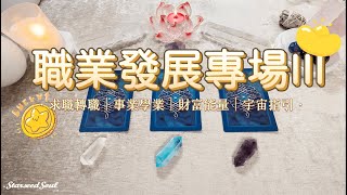 💛塔羅占卜| 職業發展專場III：關於求職/事業財富/學業發展的能量檢測和指引(Timeless)