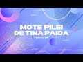 mote pilei de tina paida dj liku and dj lipu pro