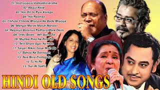 Best of Mohd Aziz - Anuradha Paudwap Romantic Hindi Love Song - Hindi Songs Collection Hits
