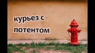 Кто изобрел первый пожарный гидрант и курьез с патентом