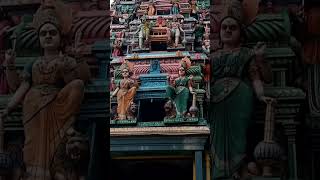 சங்கரத்தை பத்திரகாளி அம்பாள் கோவில்🙏|  Sangarathai Bathrakali Amman Kovil |2| #shorts #youtubeshorts