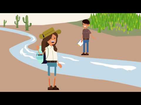 What type of stream is in an arroyo when water is flowing?