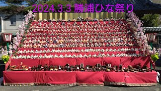 2024.3.3勝浦のひな祭り