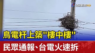 鳥電杆上築\