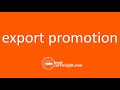 What is Export Promotion? | IB Development Economics | The Global Economy | IB Economics Exam Review