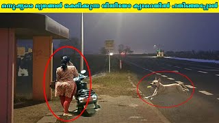 ക്യാമെറയിൽ പതിഞ്ഞ സംഭവങ്ങൾ | Incidents caught on camera | Amazing facts | Interesting facts