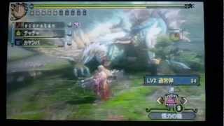 MH3GジンオウガVSヘビィ通常弾高台使用