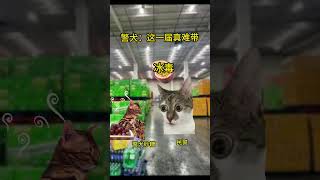 警犬：你把我的一等功又放回去了？警犬協助查獲冰毒185.2克 #幽默 #funny #貓meme #cat #段子 #搞笑 #cute #萌宠 #pets #貓咪