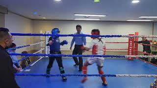 김우진 초6 상대방 중2 새로운 주니어타이틀매치 전초전 Korea mma Junior Champion Current 12-year-old opponent is 14 Seo