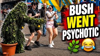 Bushman prank:BUSH WENT PSYCHOTIC 🌿🤣 #bushmanprank #funny #hilarious