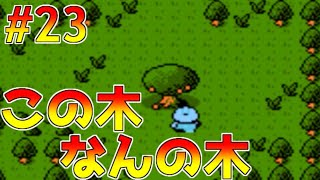 #23【ゲーム実況】ナイトガンダム物語3【SDガンダム外伝】ファミコン・聖なる木の実で荒稼ぎして、他人の館の宝箱をあさる流星騎士団ズラ