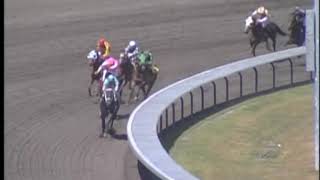 First Ever Race at Emerald Downs
