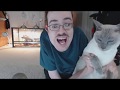 CAT REVIEW  - Ricky Berwick