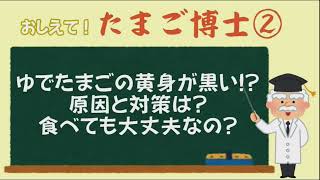 たまごペディア②「ゆでたまごの黄身が黒い！？原因と対策」