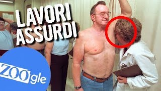 7 LAVORI ASSURDI che vorrai fare dopo la SCUOLA #ZOOgle