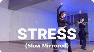 Easy dance LV.1 3월 1~2주 완전기초반 / CHUNG HA (청하) - STRESS / beginner Dance 거울모드(Slow Mirrored)