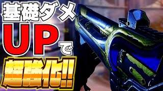 【Destiny2】基礎ダメUPの効果がデカすぎる!? 射程爆盛り移動標的ヘッドシーカーが激当たり!!【デスティニー2実況】【ステイ・フロスティ】【最終形態】