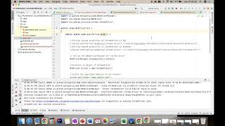 Browser Launch With WebDriver Manager