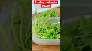 #Howto #store #coriander in Fridge #కొత్తిమీర ను ఇలా ఎక్కువ రోజులు నిల్వ చేస్కోండి#shorts #coriander