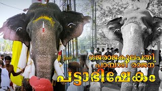 ഗജരാജകുലപതിക്ക് പട്ടാഭിഷേകം | Pambadi Rajan