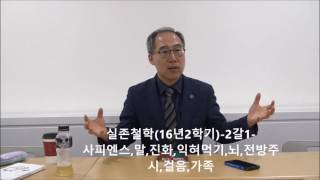 구연상_갈(실존철학2016년2학기-2갈1)-사피엔스,말,진화,익혀먹기,뇌,전방주시,걸음,가족