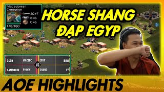 MÃN NHÃN Y THẦN - Chim Sẻ cân cả SHANG VÀ EGYP | AoE Highlights