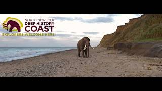 Delve into the Deep History Coast