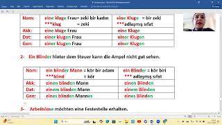 B1 Ders 11 Adjektive als Nomen mit unbestimmten Artikeln