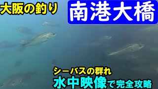 南港大橋での至高の釣りスポットを水中カメラで独占公開！シーバス＆黒鯛編