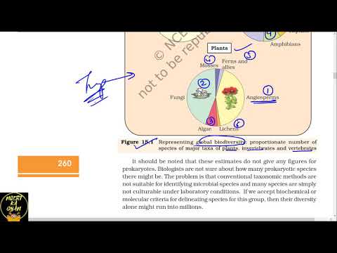 PART 2 BIODIVERSITY AND CONSERVATIONCHAPTER 15 CLASS 12TH BIOLOGY NCERT.