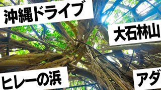 沖縄ドライブ　やんばる　辺戸岬→大石林山→ヒレーの浜→安田協同店