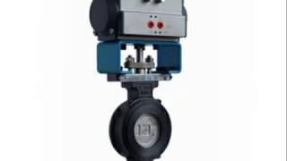 High performance butterfly valve