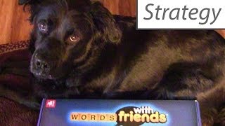 Words with Friends (and Scrabble) - Strategy Primer