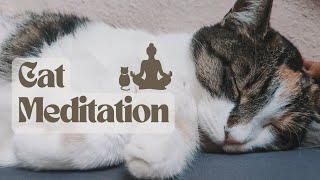 Meow-maste: Mindful Meditation for You and Your Cat