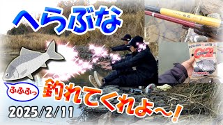 【野池・へらぶな釣り】ヤバい！真冬の釣りは厳しいよ～(^^;)冬眠中かな?そんな時は手作りおにぎりとゆでたまごを食うのだ！(笑ｗｗ)奈良県まで来たけど釣れまへ～ん！マルキューグルテンα21