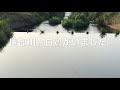 朝のランニング 茨城県 石岡市 生板池 田園風景 園部川 鹿島神社 香取神社 極真 空手 東京城西世田谷東 せたひが