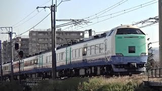 快速新潟行き　485系R26編成　信越本線8621M