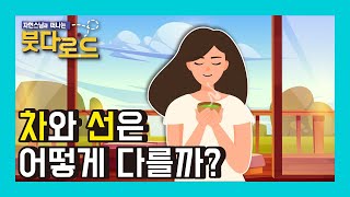 차와 선은 어떻게 다를까? - 붓다로드 142-2