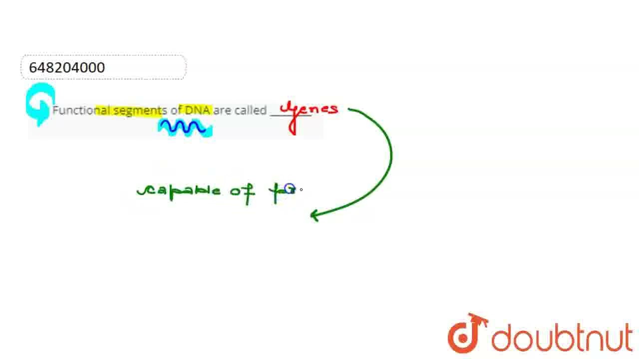 Functional Segments Of DNA Are Called ________ | CLASS 9 | CELL ...