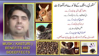 kasturi (mushk) kay fayday aor nuqsanat in urdu/hindi | musk benefits and sideffects by jolly azeem|